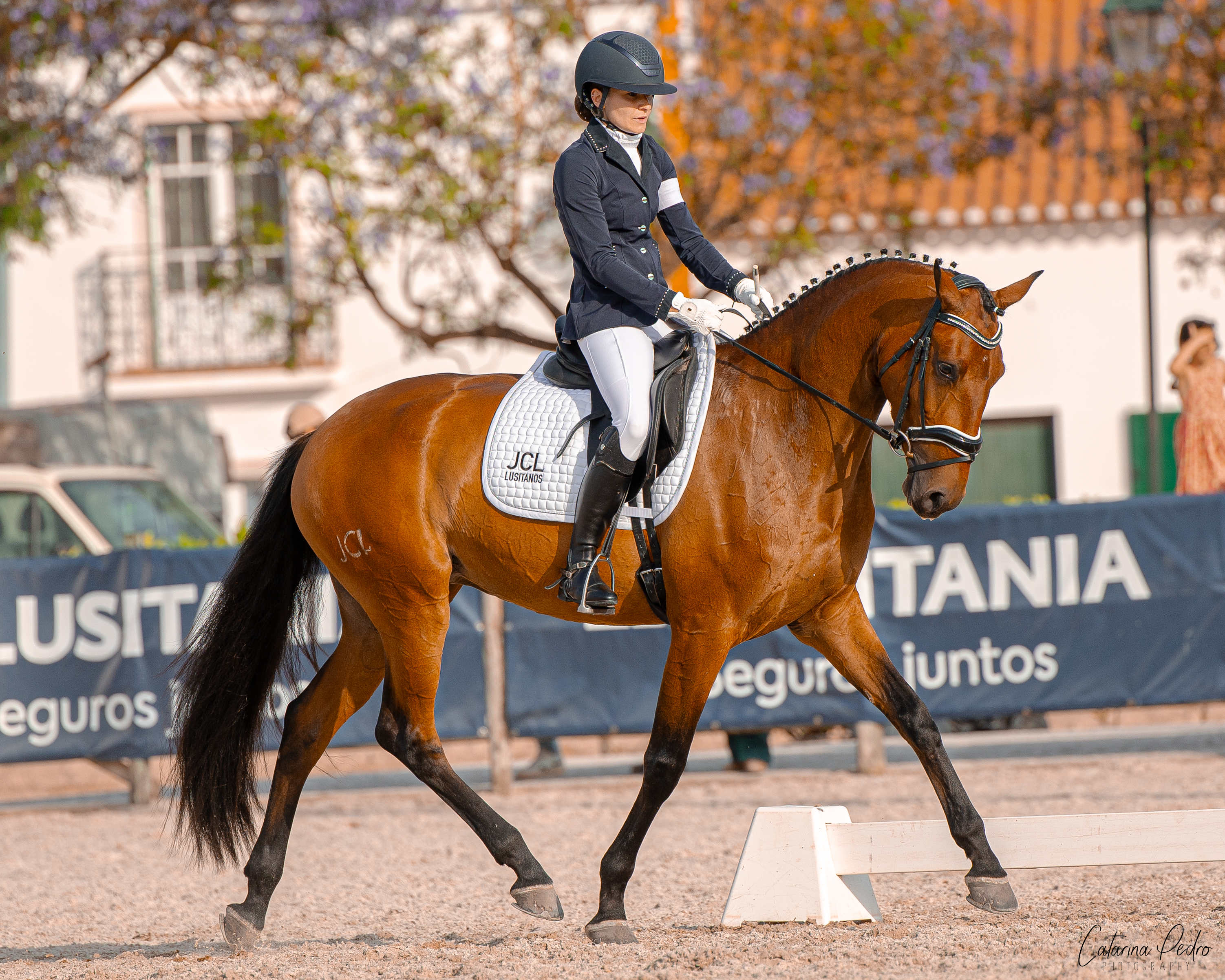Sevilha JCL conformation