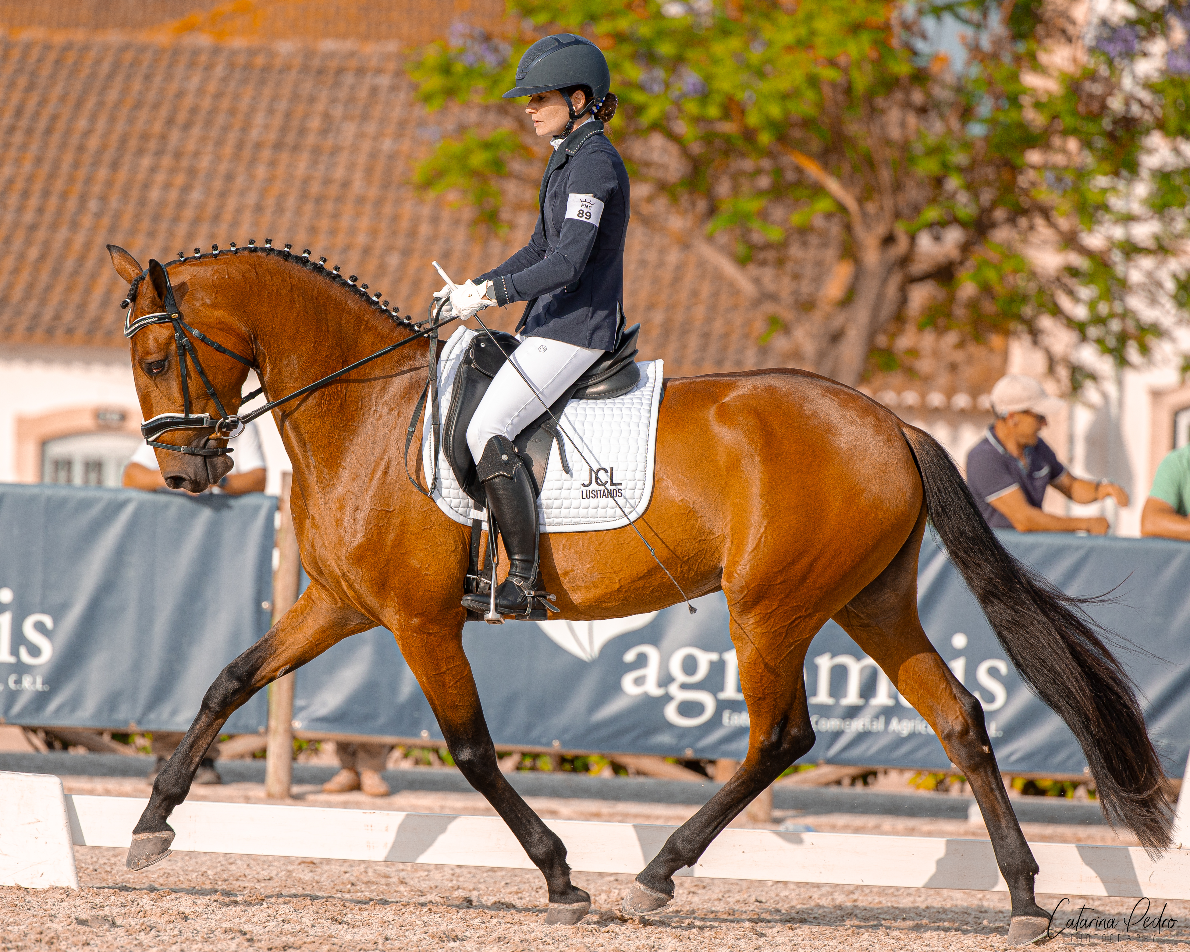 Sevilha JCL in the ring